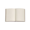 Picture of PAPERBLANKS MINI LINED ROSE CHRONICLES NOTEBOOK